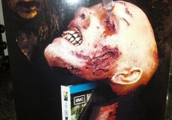 The Walking Dead Season 2