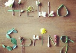 Hello Spring? Please?!