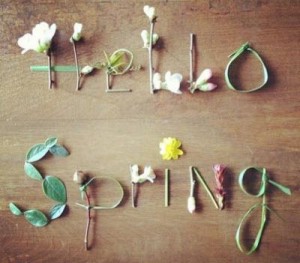 Hello Spring? Please?!
